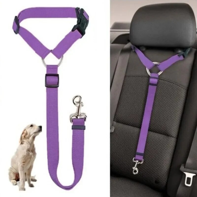 Pet Car Seat Belt and Leash Combo
